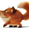 ���� Insomnia