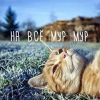 ������� �������������
