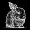 rabbit grinning