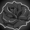 AllaBlackRose