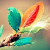 Evgeny S.