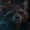 Rocket Raccoon