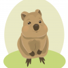Lari Quokka