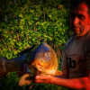 ������ ��������