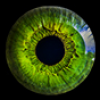 Green Eye