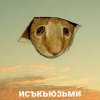 ���� �������