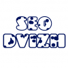 SEO DVIZH