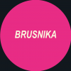 BRUSNIKA ART