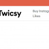 twicsybuy twicsybuy