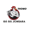 ?? G? TR?C TI?P THOMO H?M NAY
