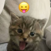 ��������� ��������