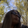 ������ �������