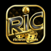 C?ng Game RICWIN