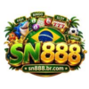 SN888 Brcom