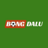 Bongdalu1  Net