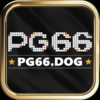 pg dog