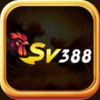 SV KIM