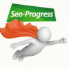 Seo-Progress