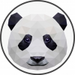 MEDIA PANDA