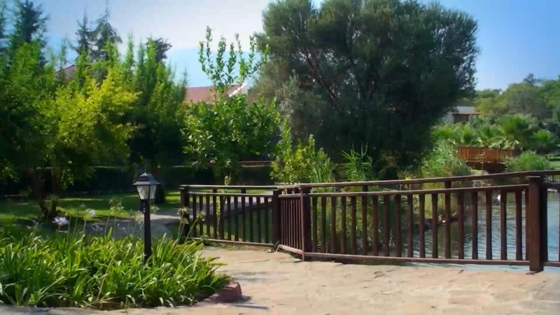 Turk_film (preview).mp4_snapshot_02.28_[2018.10.10_22.20.47].jpg