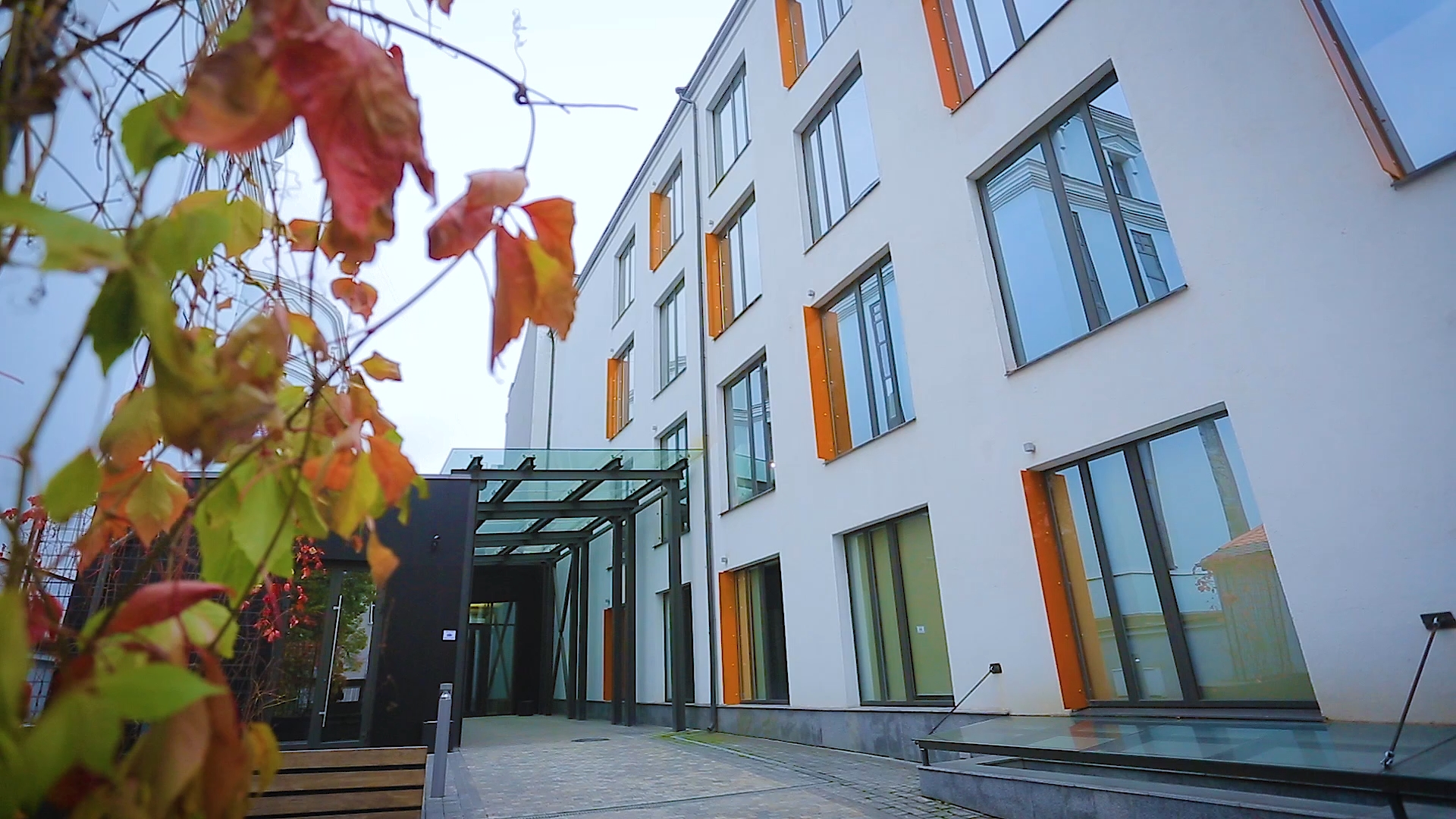 OfficeTimes_IleDeBeaute.mp4_snapshot_05.34_[2018.10.13_00.19.47]