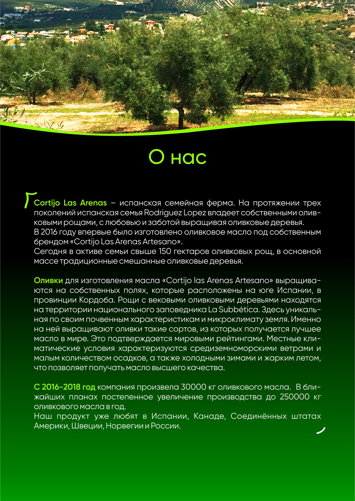Презентация_ArstesanO_А4_2.jpg