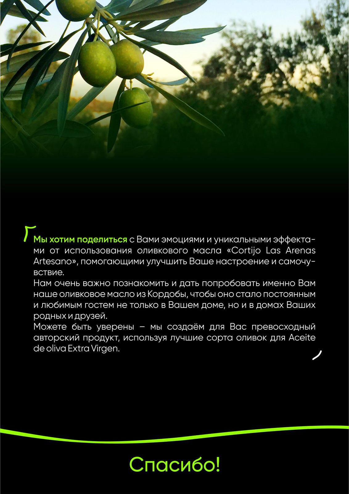 Презентация_ArstesanO_А4_7.jpg