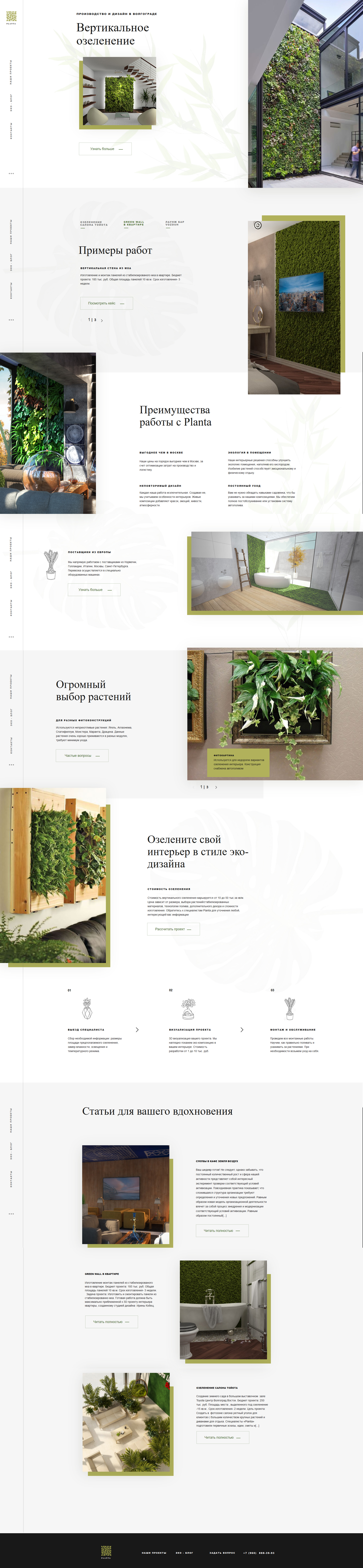 Planta.jpg