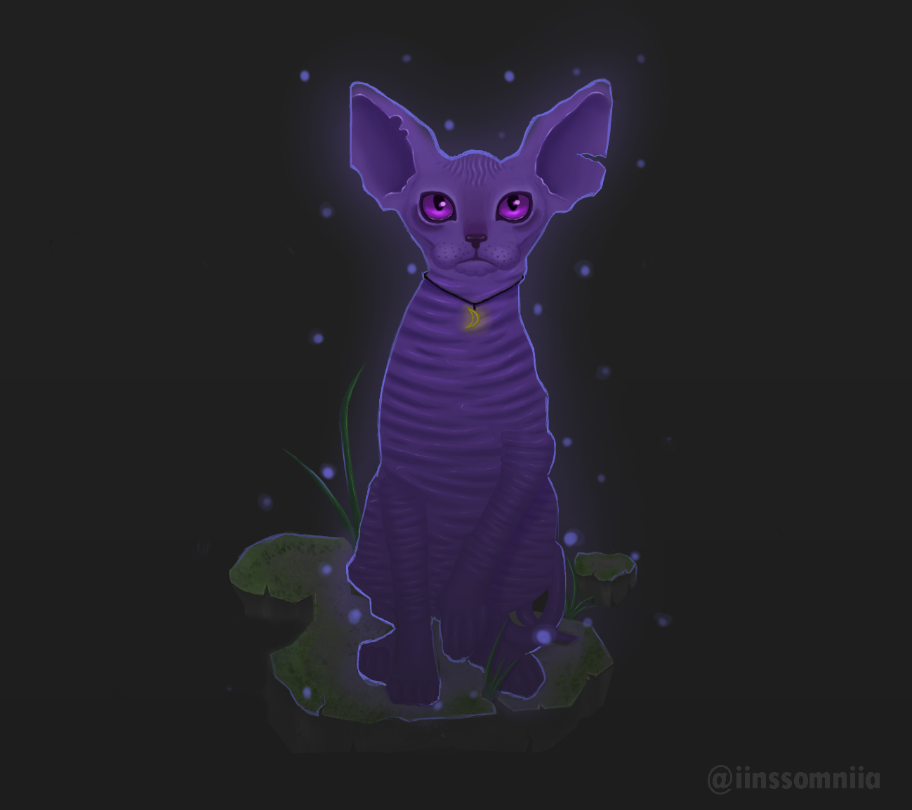 velvetcat.png
