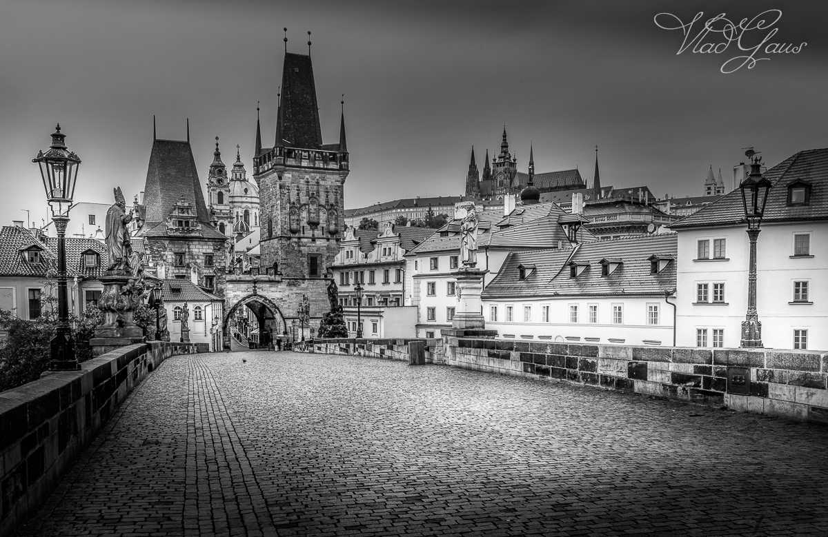 by_Vladislav-Gaus_15208052516052516-3231604863-Edit.jpg