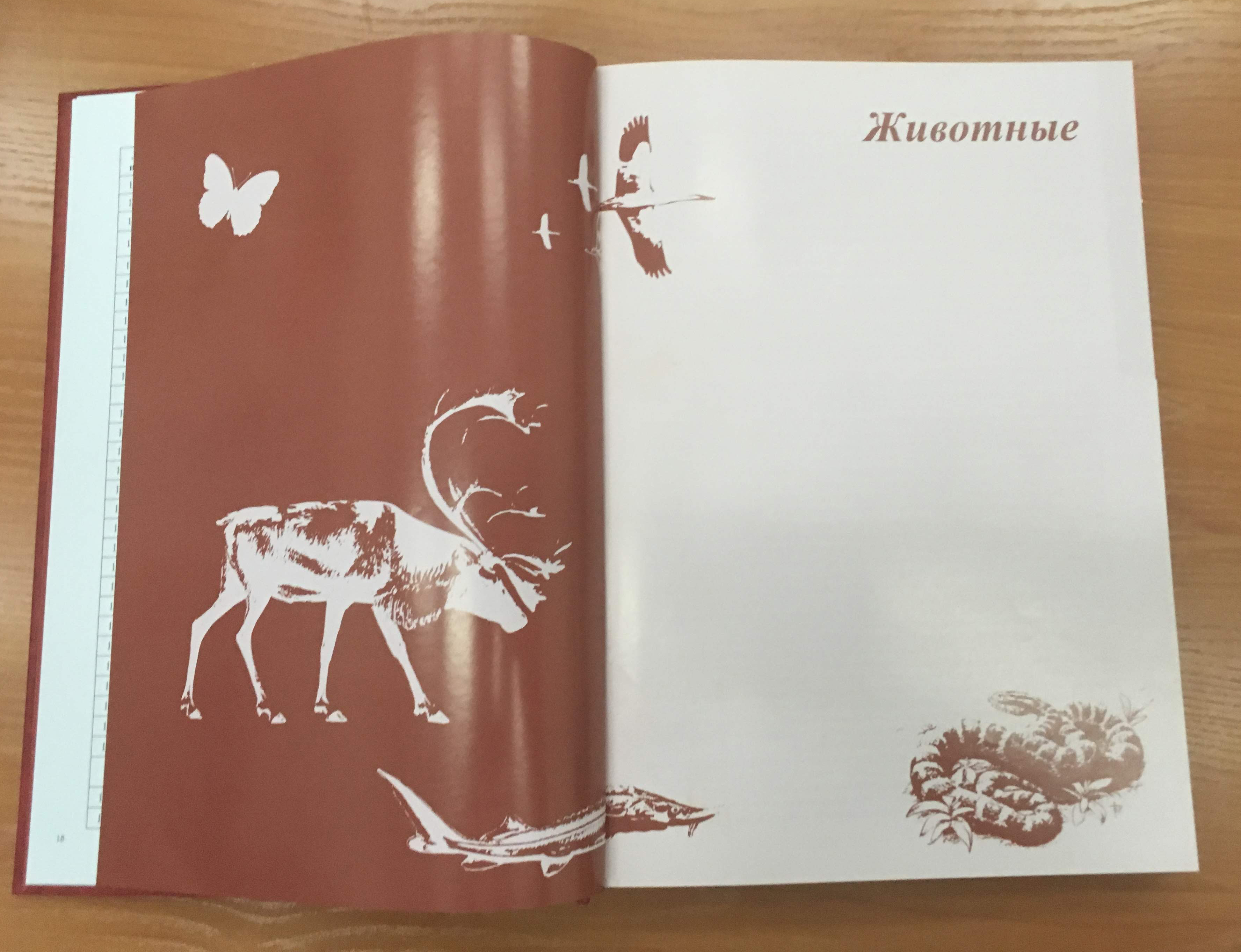 КРАНАЯ КНИГА НСК 2018 (11).jpg