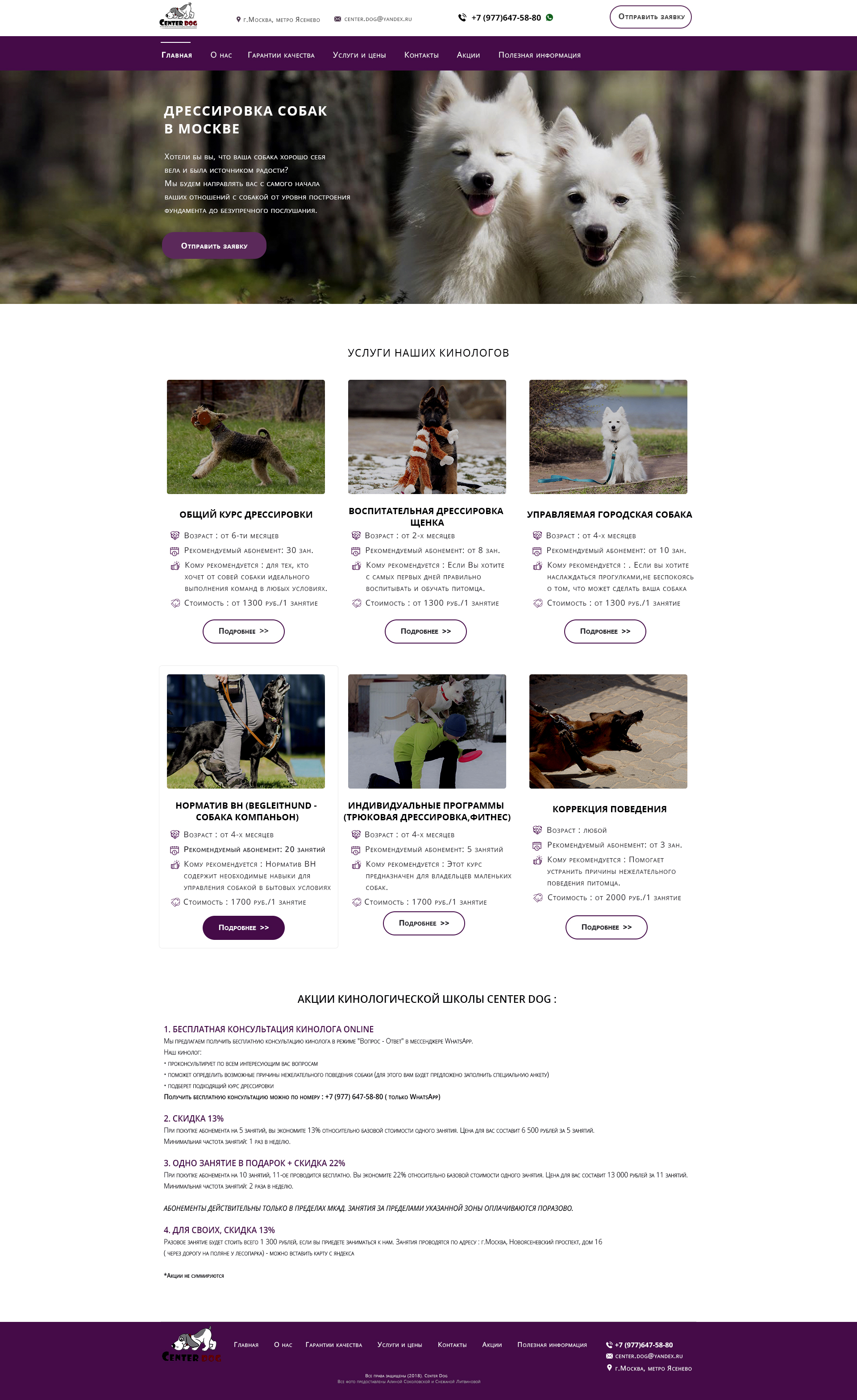 сентр дог.jpg