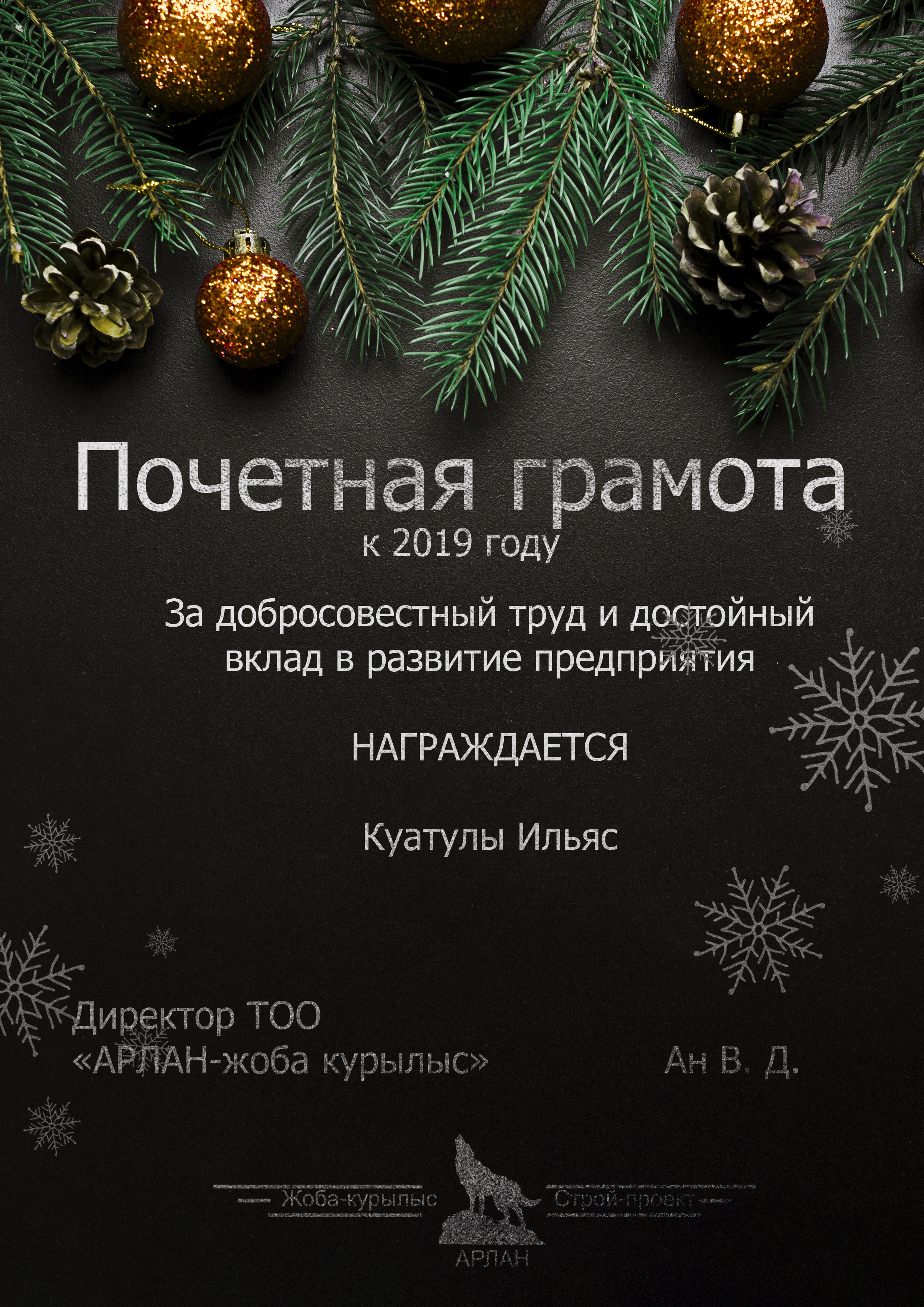Грамота к новому году 2019 В5.jpg