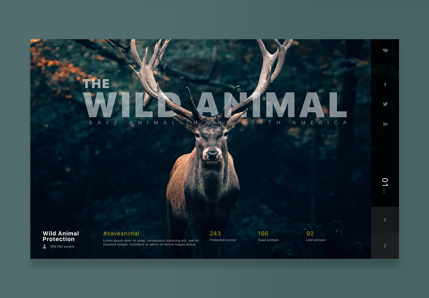 Project-Splash-screen-protect-wild-animal.png