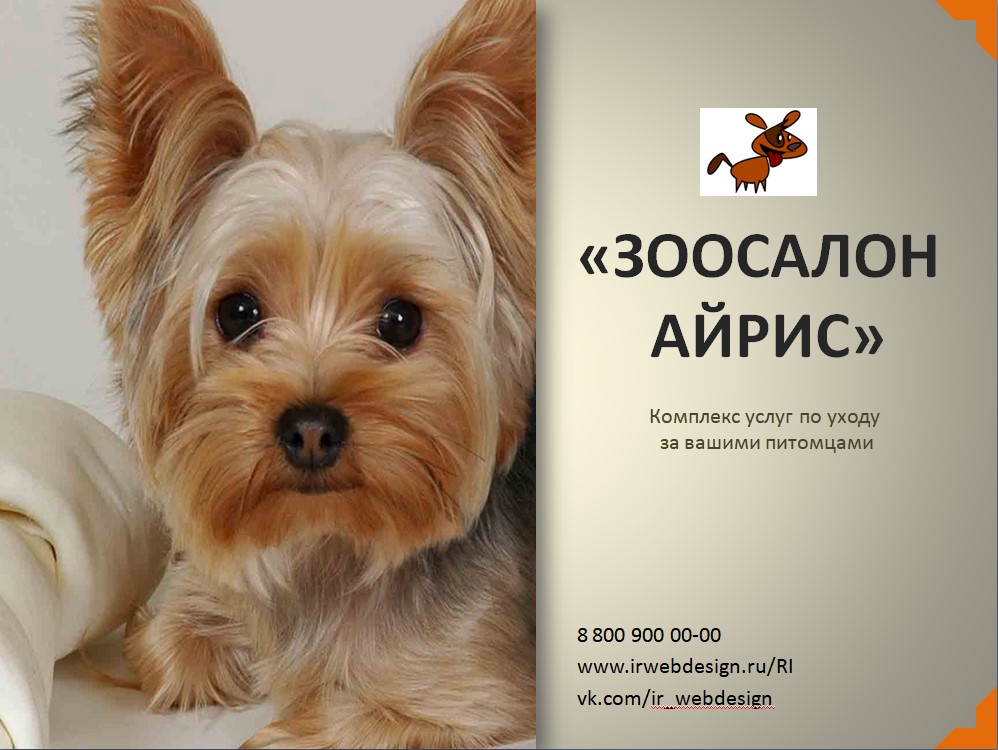 презентация.jpg