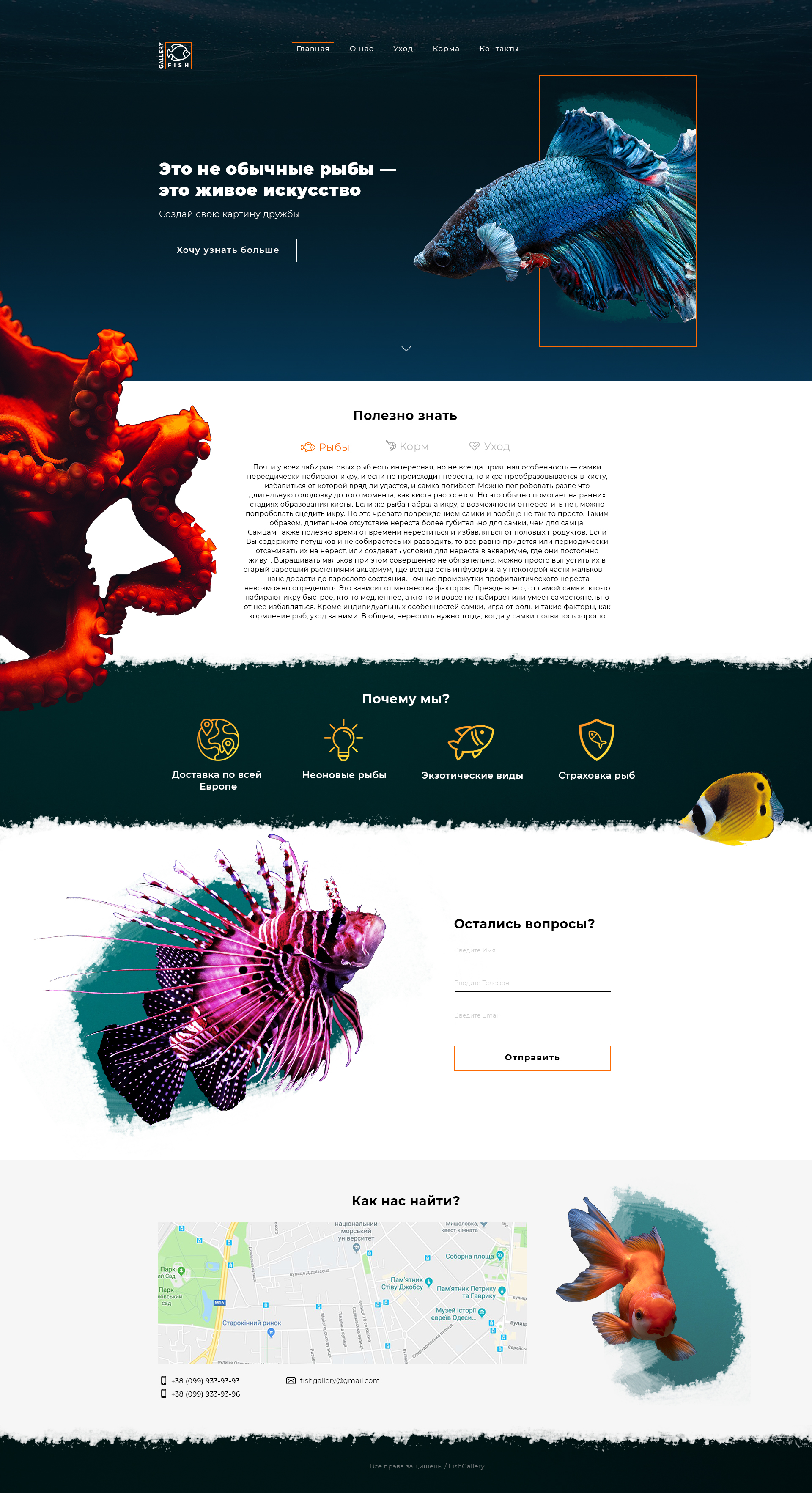 Landing Page Экзотические рыбы.jpg