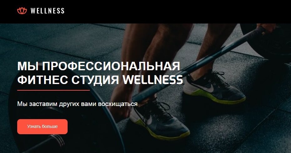 WELLNESS1.jpg