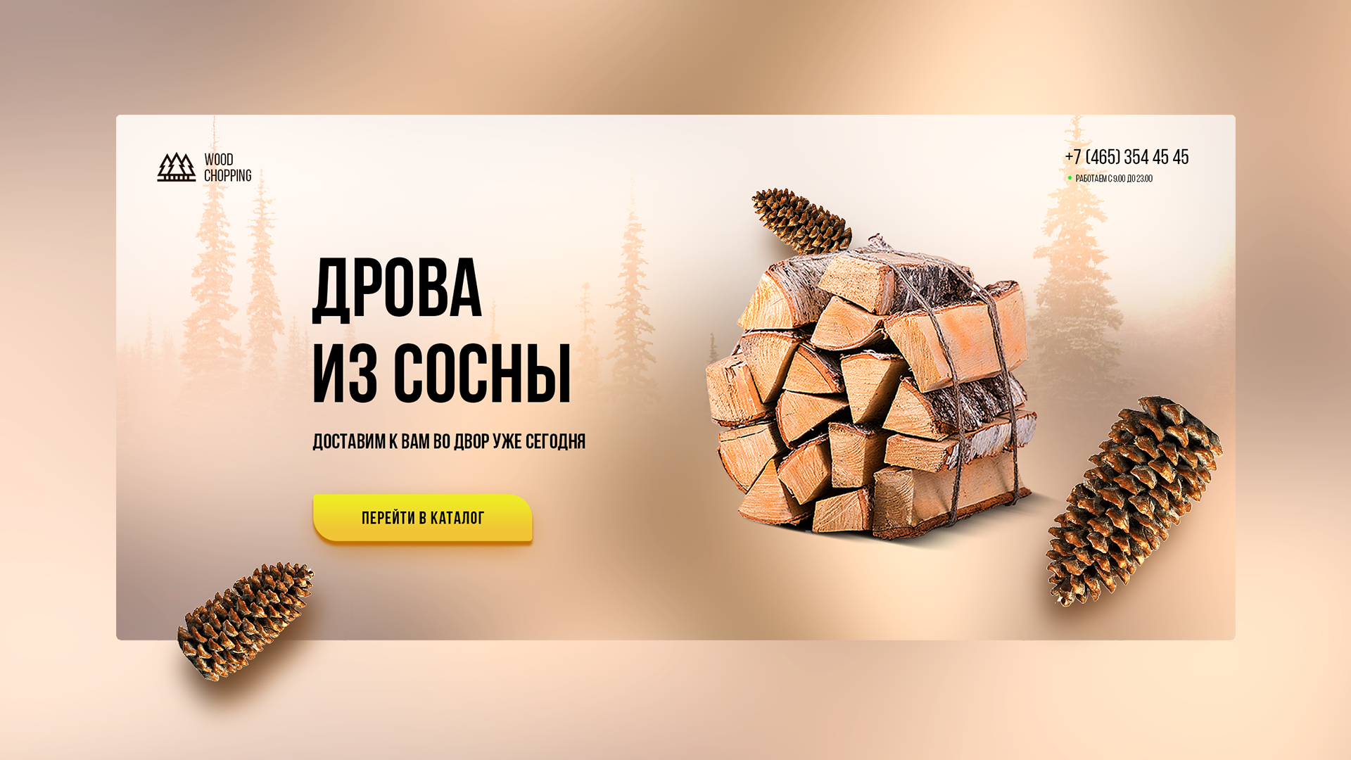 дрова_1-ая страница.png
