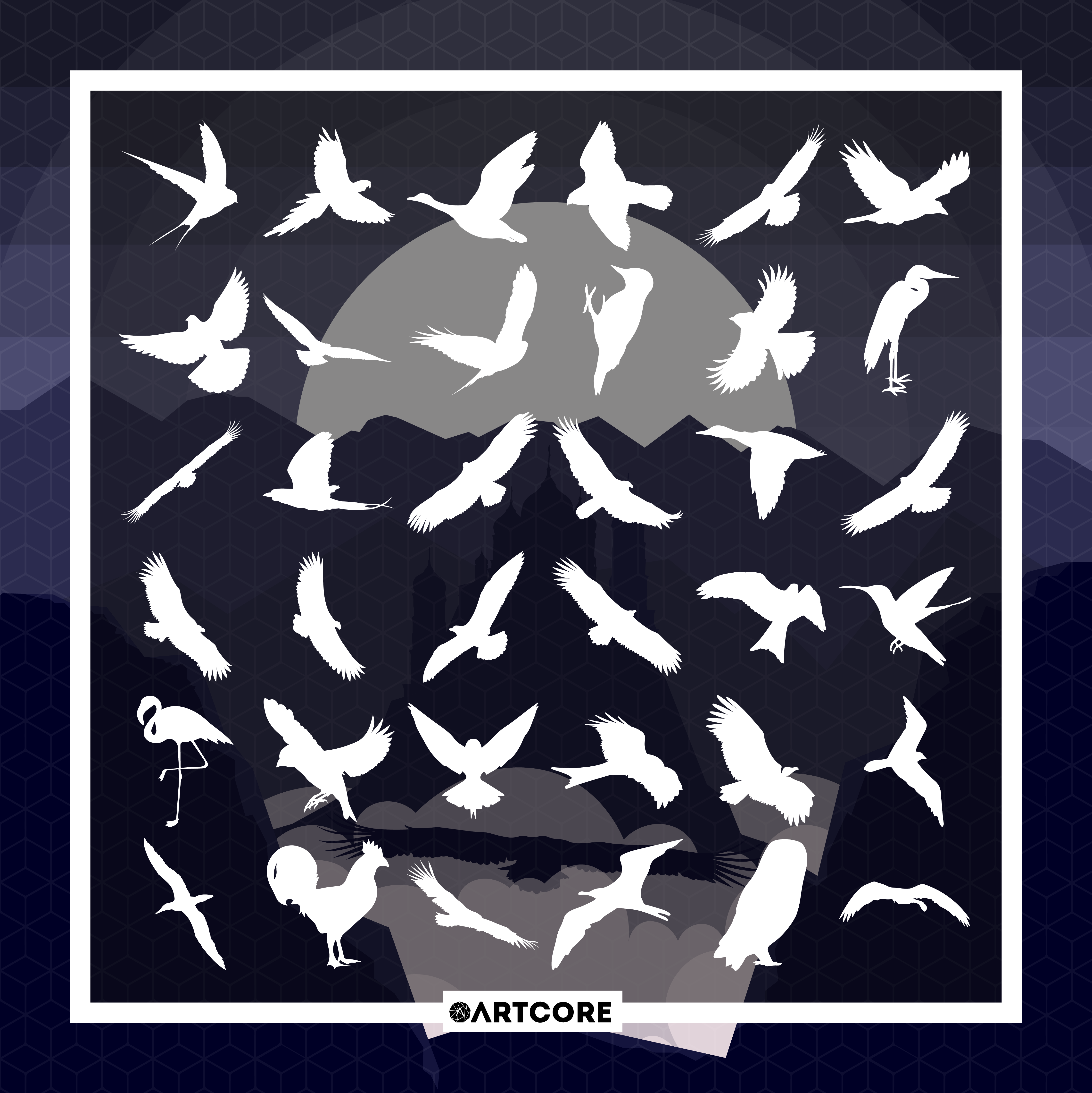 1.Birds.png