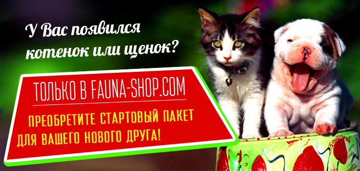 баннер 1 (3).jpg