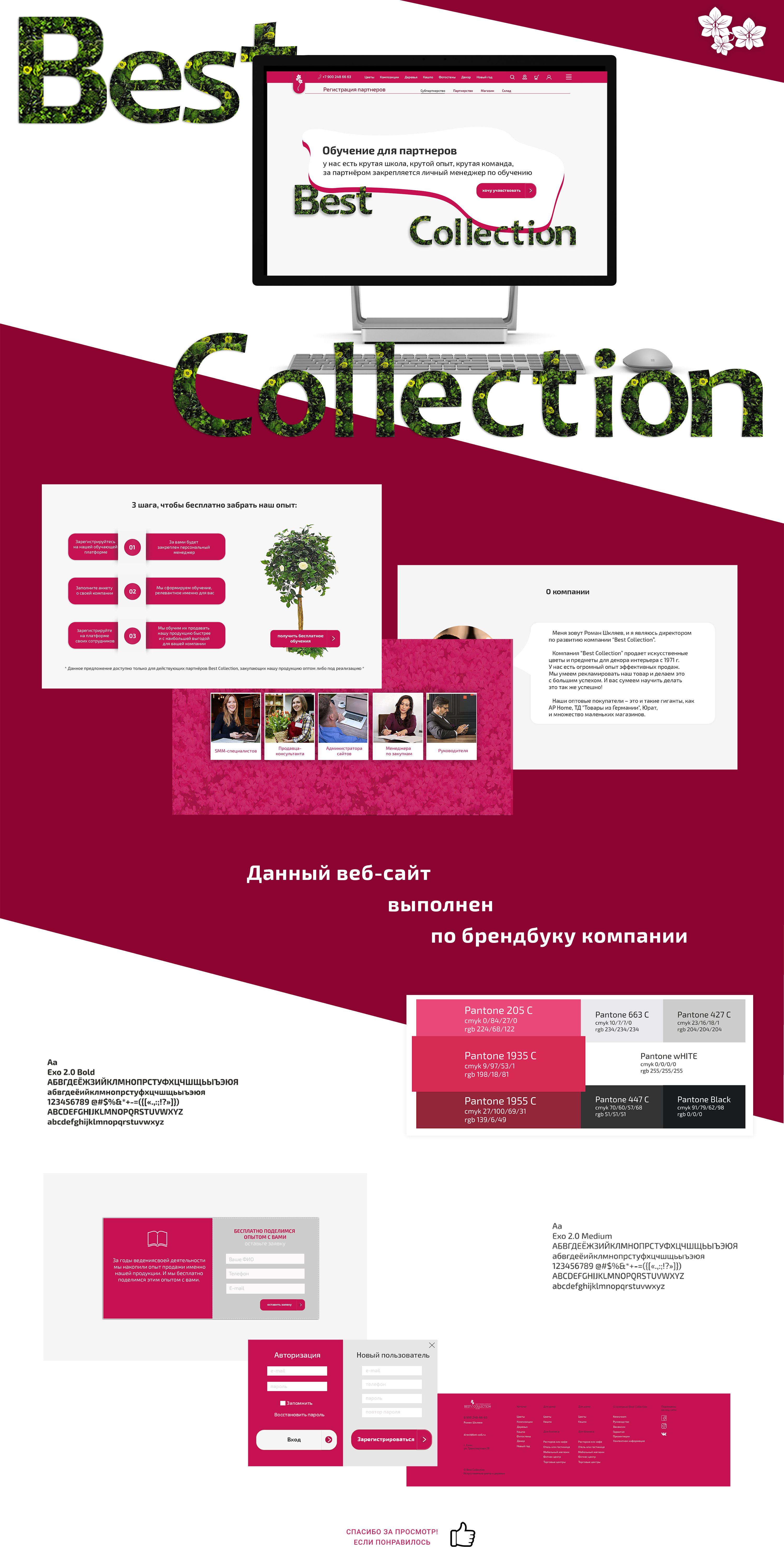в портфолио cайт Best Collect.png