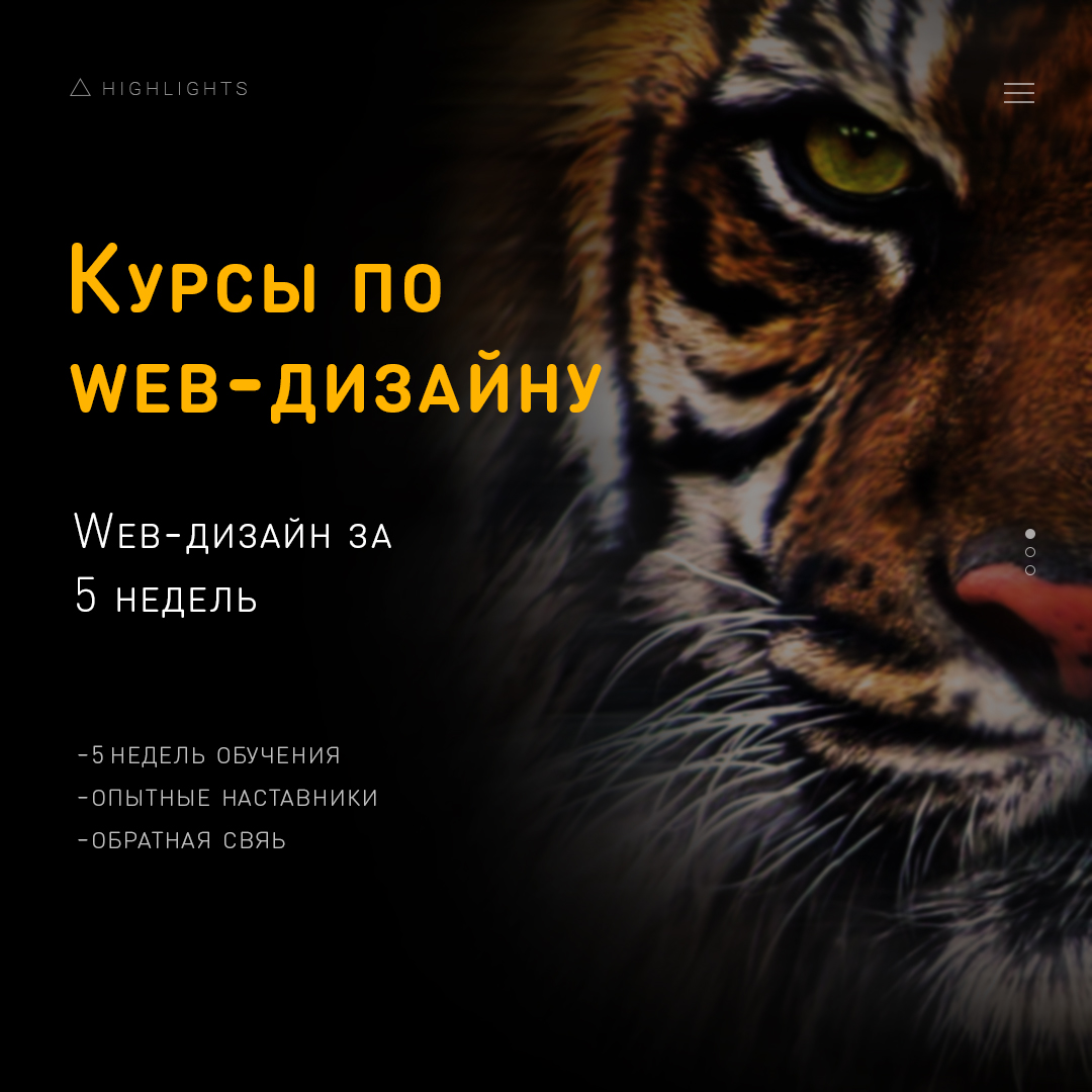 HighLights-Тигр.jpg