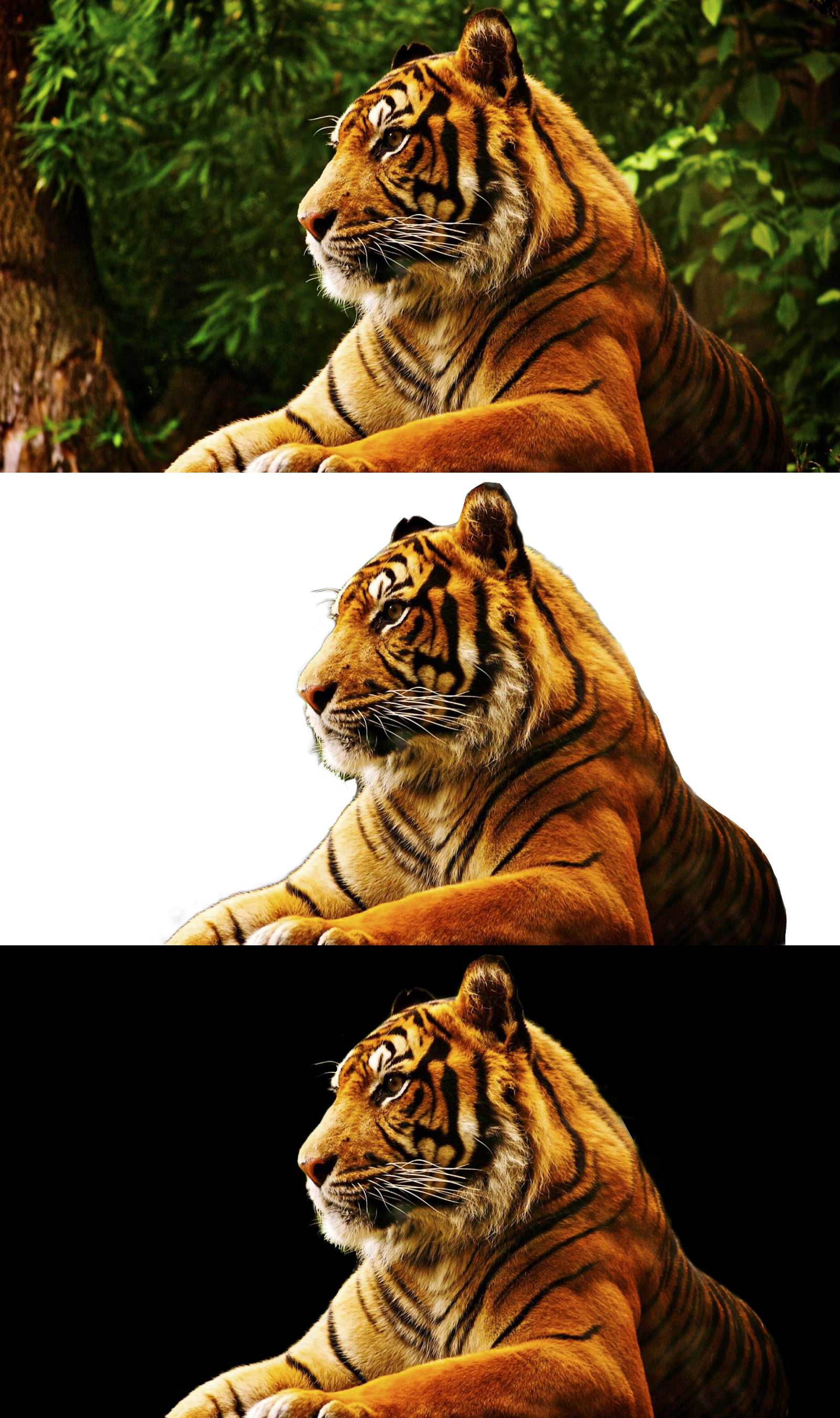 Без-имени0.jpg