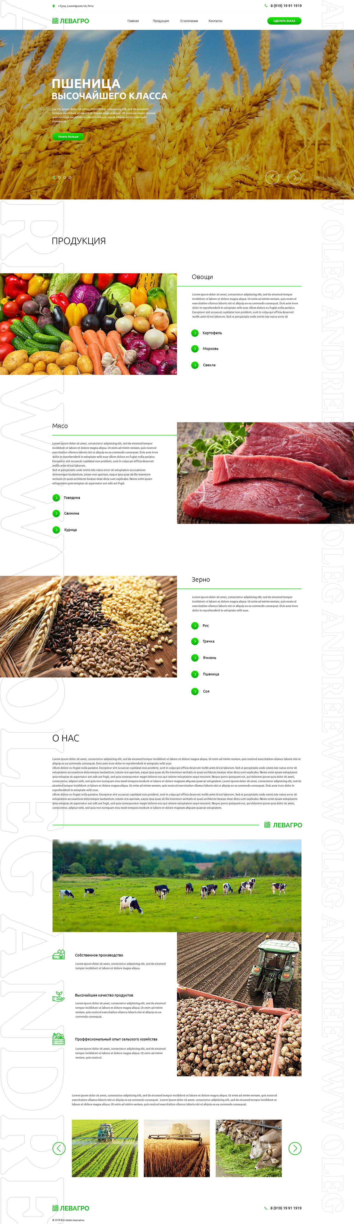 левагро_page1-V1-2.jpg