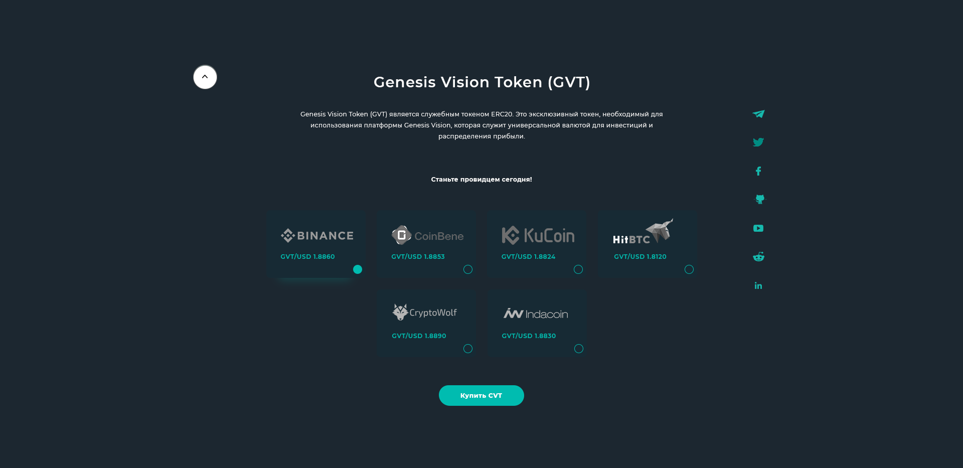 Genesis Vision - Пятый экран (Токен).png