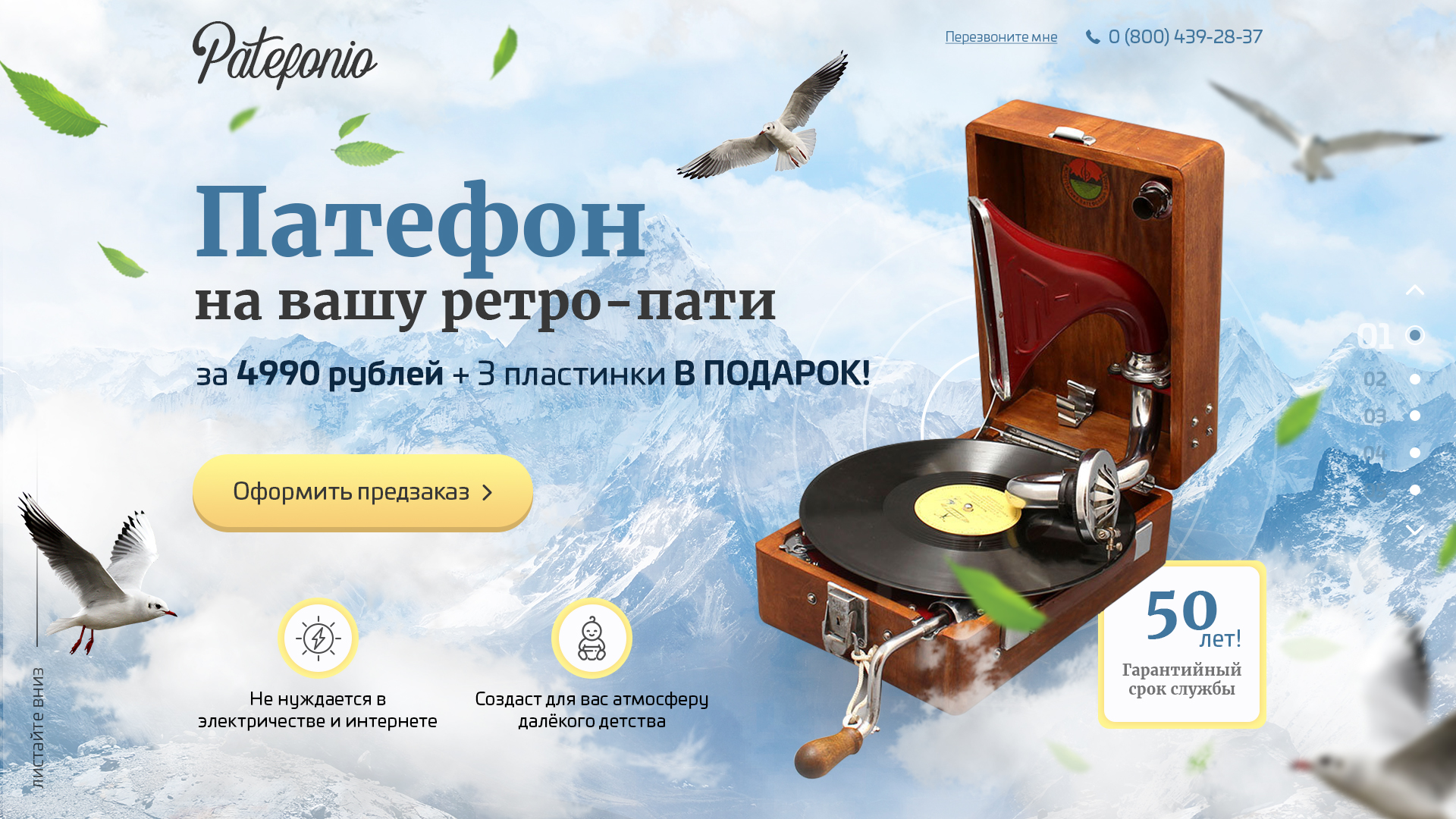 чайка ui.jpg