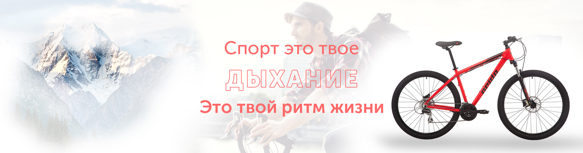 2 баннер Илона.jpg