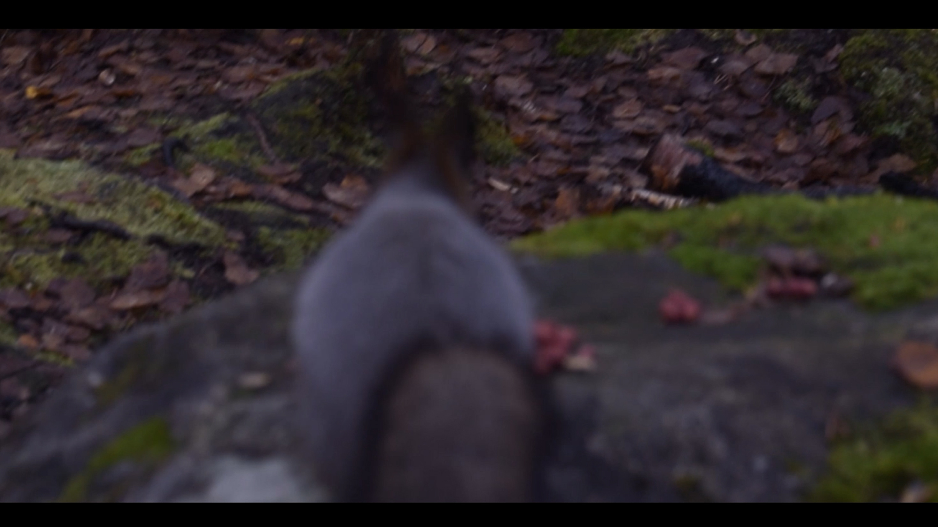 Обложка 3.jpg