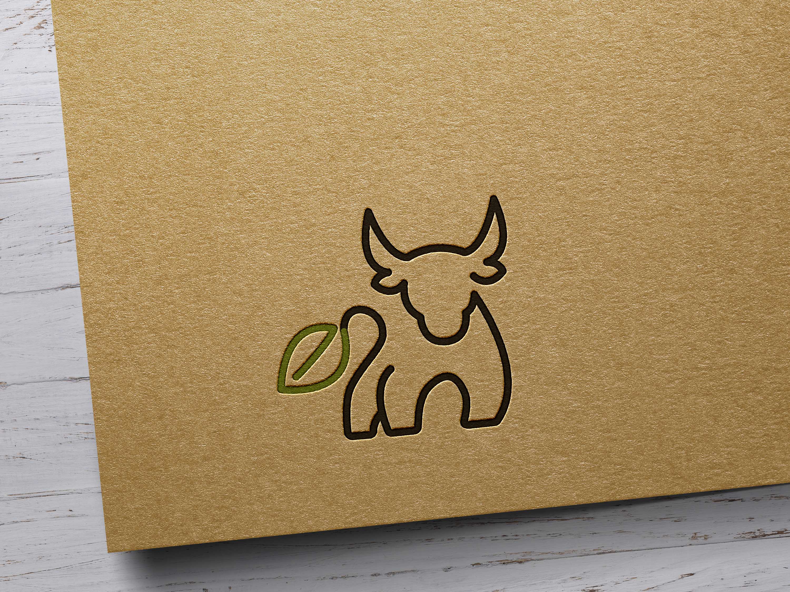 Logo Mockup.jpg