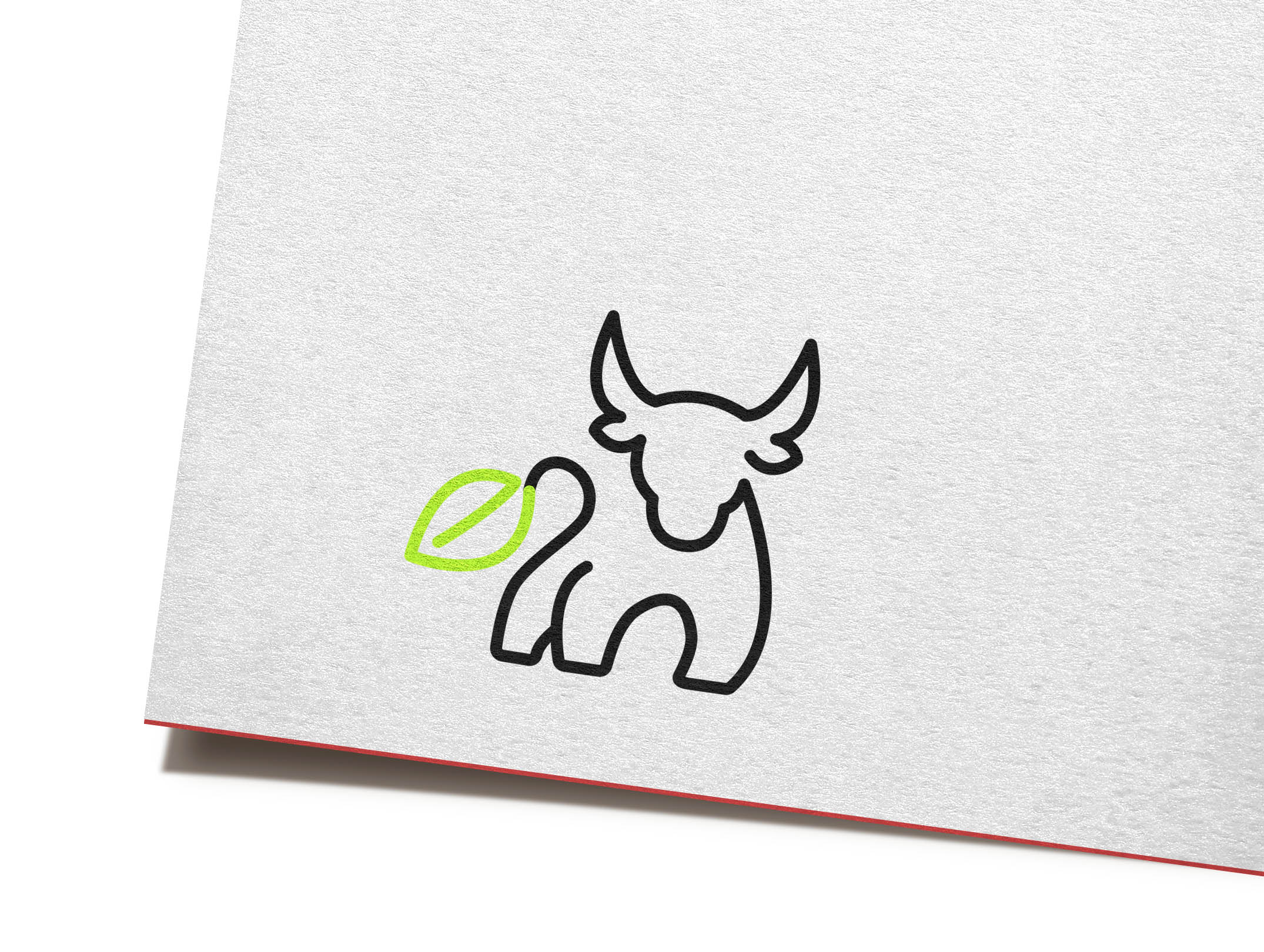 logo mockup1.jpg
